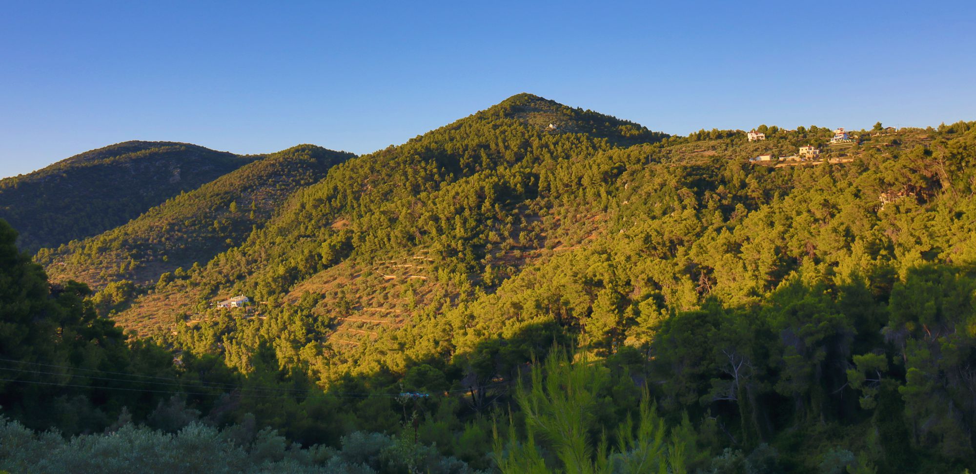 Αλόννησος topoguide: Βλάστηση της Αλοννήσου