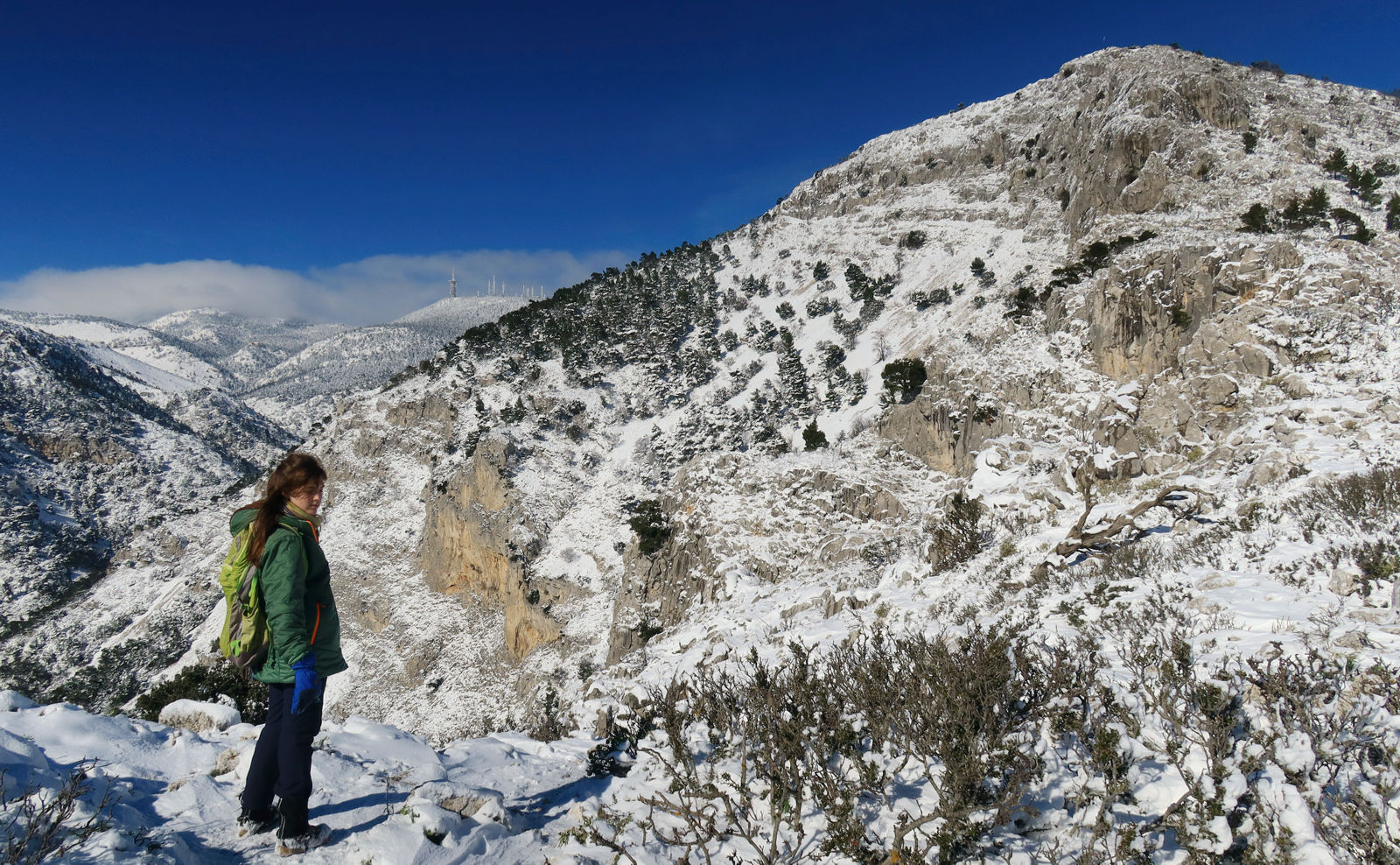 Η Άγρια Πάρνηθα: Στην Κόψη Φλαμπούρι