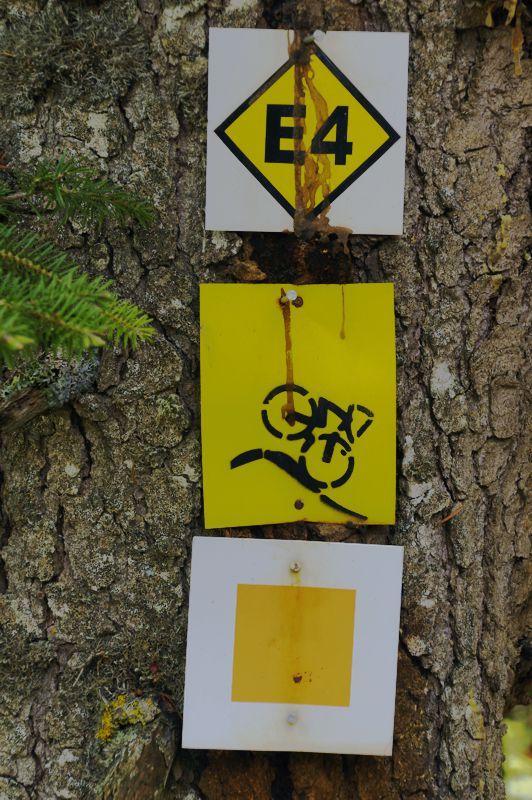 E4 European Trail on Mt Menalon