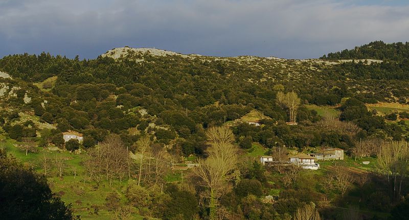 Η Αρβίτσα