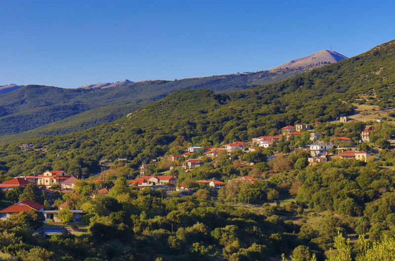 Τα Λυκόχια