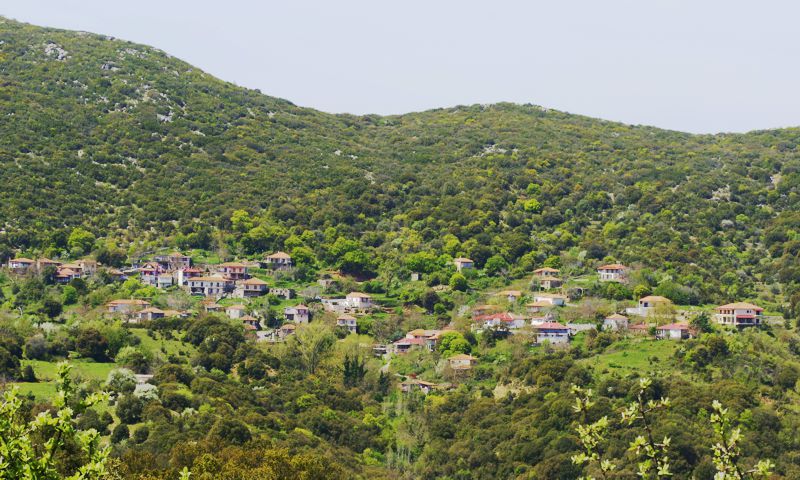Το Ψάρι