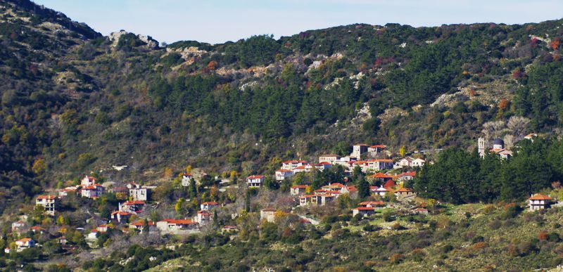 Η Ζάτουνα