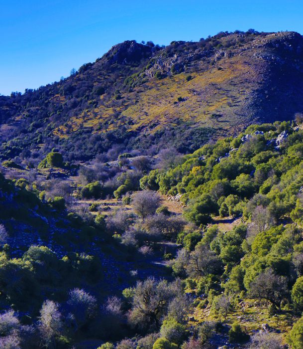Μαίναλο topoguide