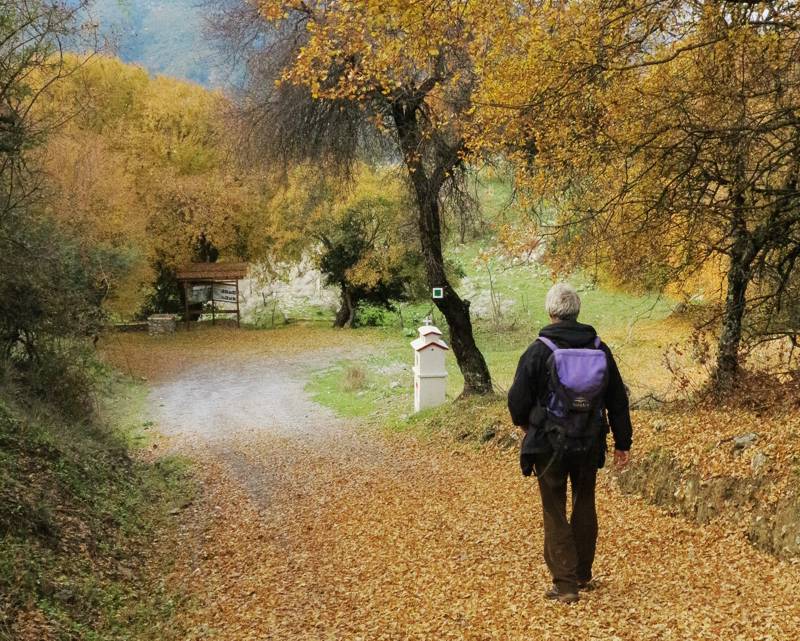 Menalon Trail topoguide: Στο 5ο σκέλος, από Βυτίνα προς Νυμφασία Menalon Trail topoguide