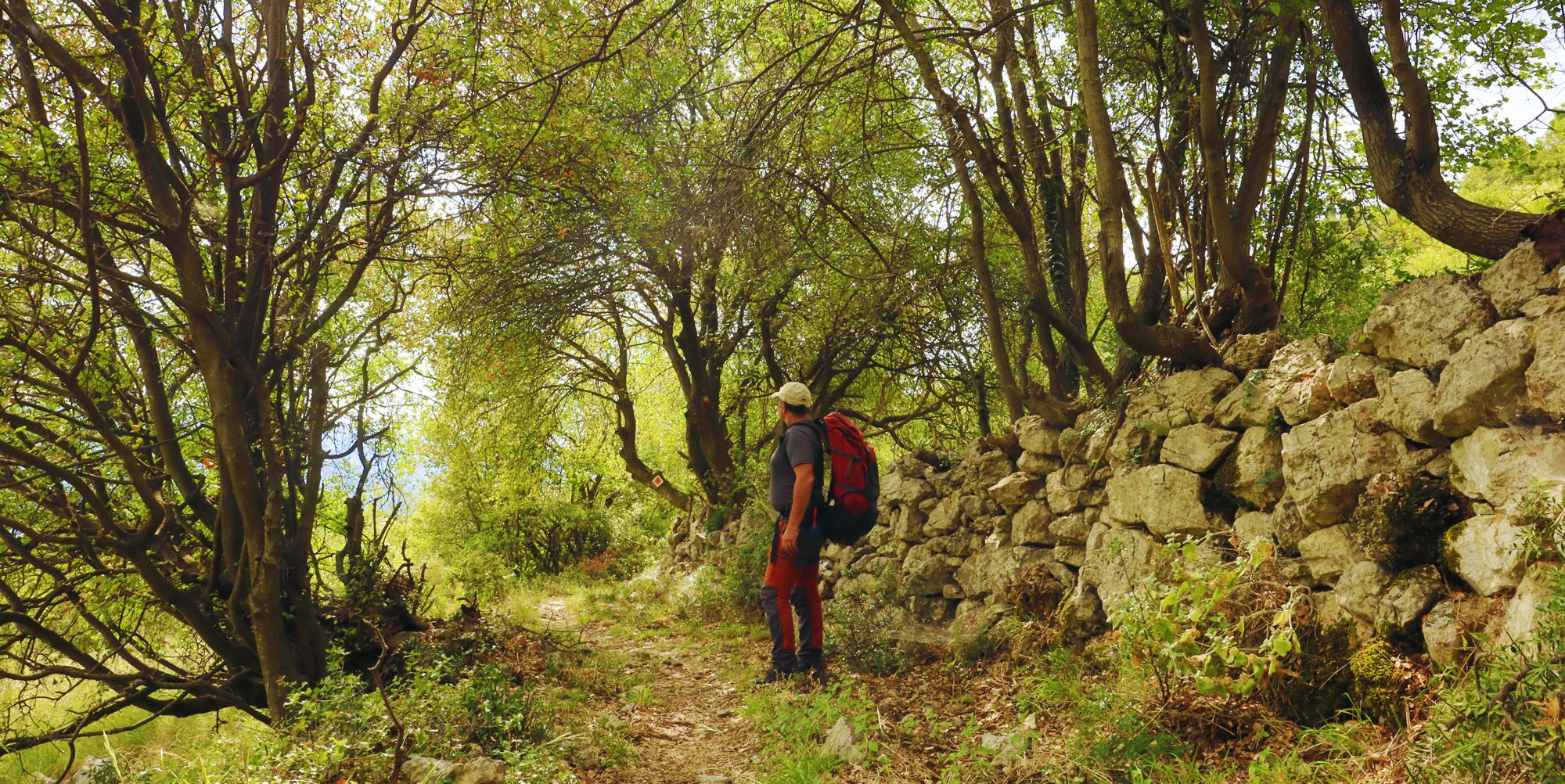 Menalon Trail: Κατεβαίνοντας προς τη Χαράδρα του Λούσιου