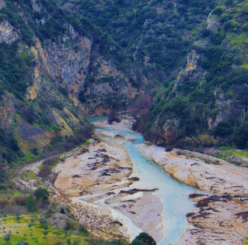 Κλωκός
