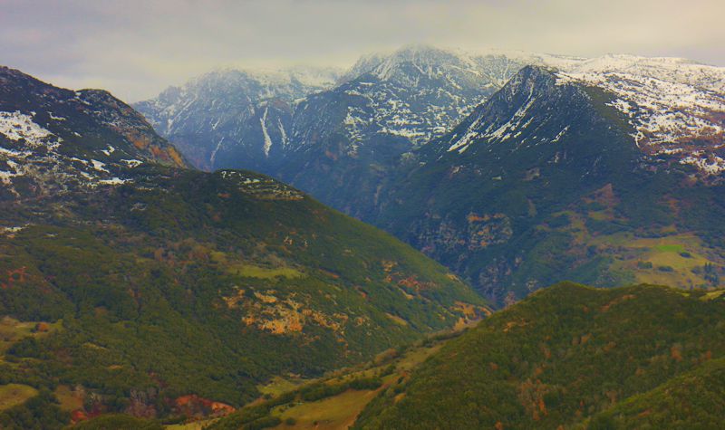 Κλωκός