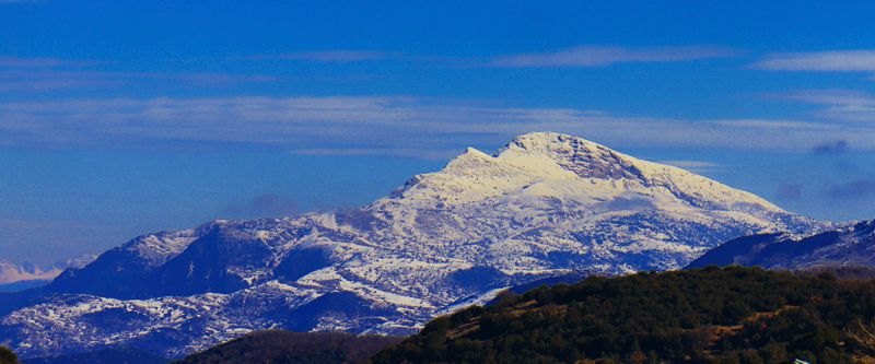 Κλωκός