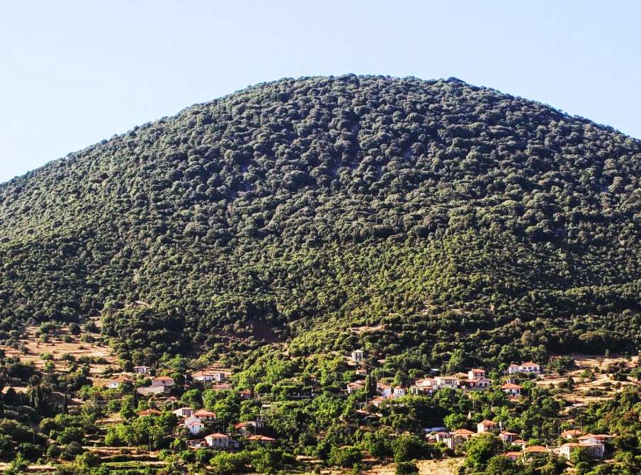 Μίνθη