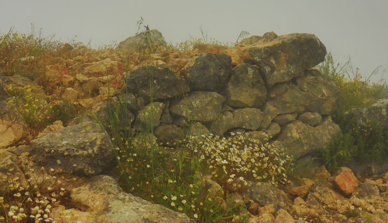 Hiking in Mycenae: Ascent to Agiolias