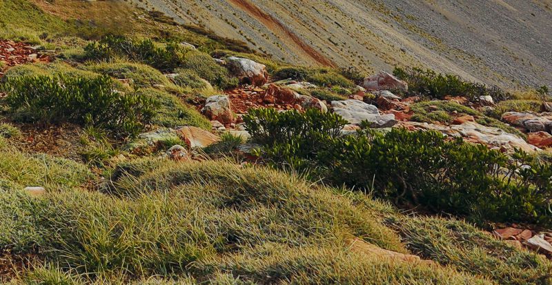 Παναχαϊκό topoguide
