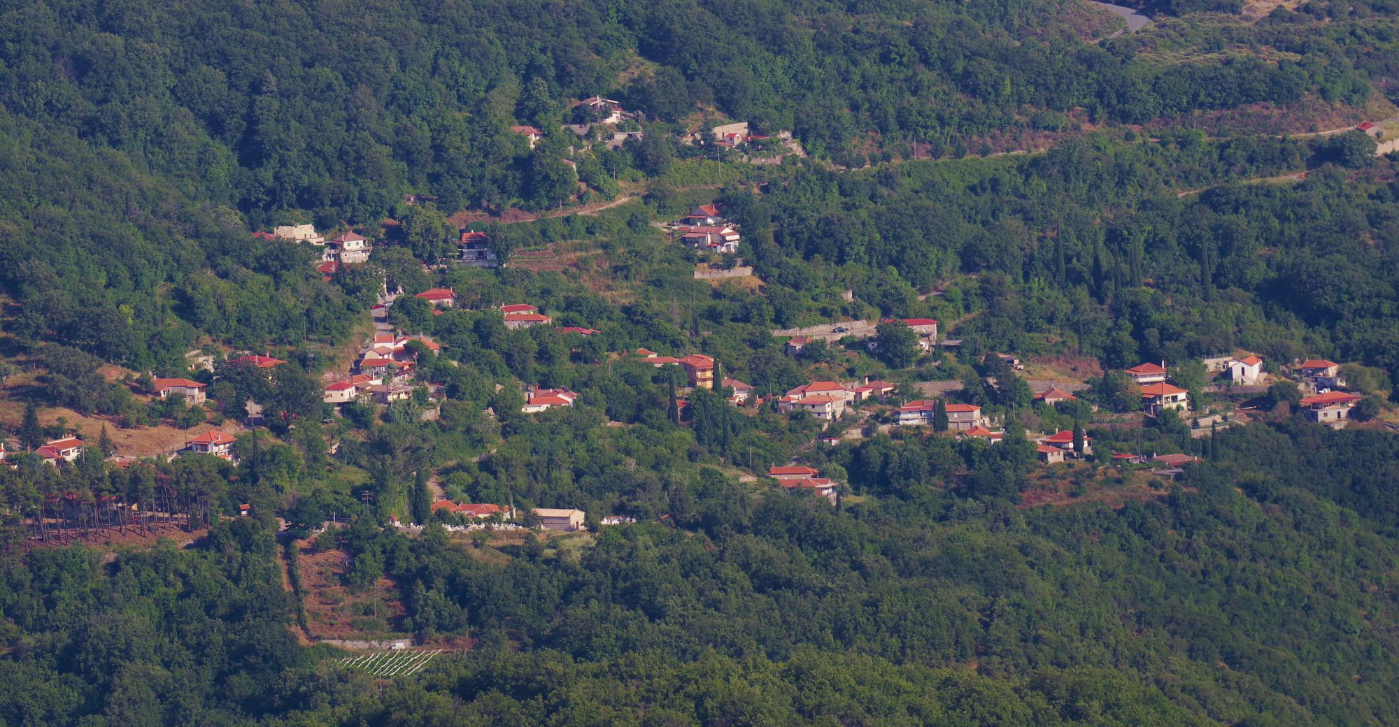 Η Νέδα