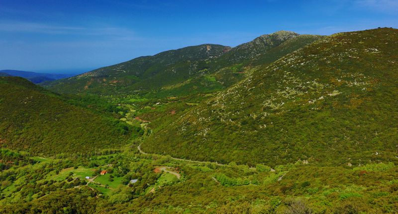 Συνδέσεις και επικοινωνίες στο χώρο του Λύκαιου: Η κοιλάδα του Πάμισου, στους πρόποδες της Μίνθης