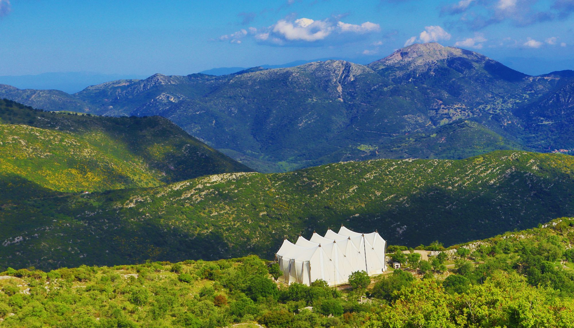 Ναός του Επικούριου Απόλλωνα