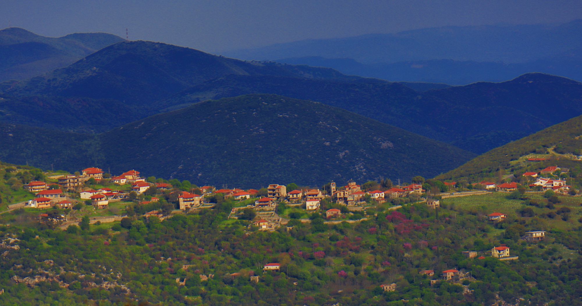 Το Κοτύλιο