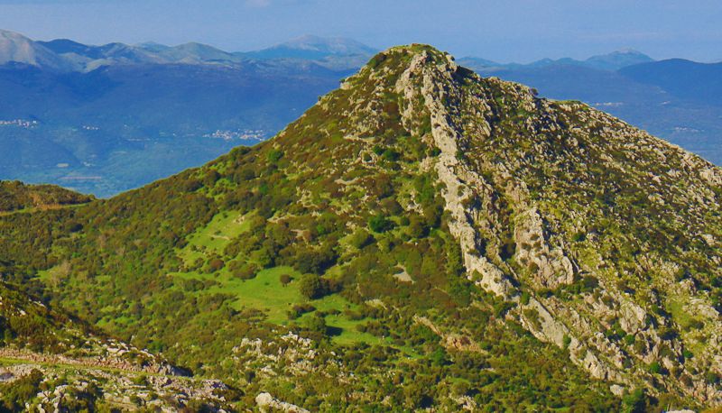 Αρκαδικά Μονοπάτια topoguide