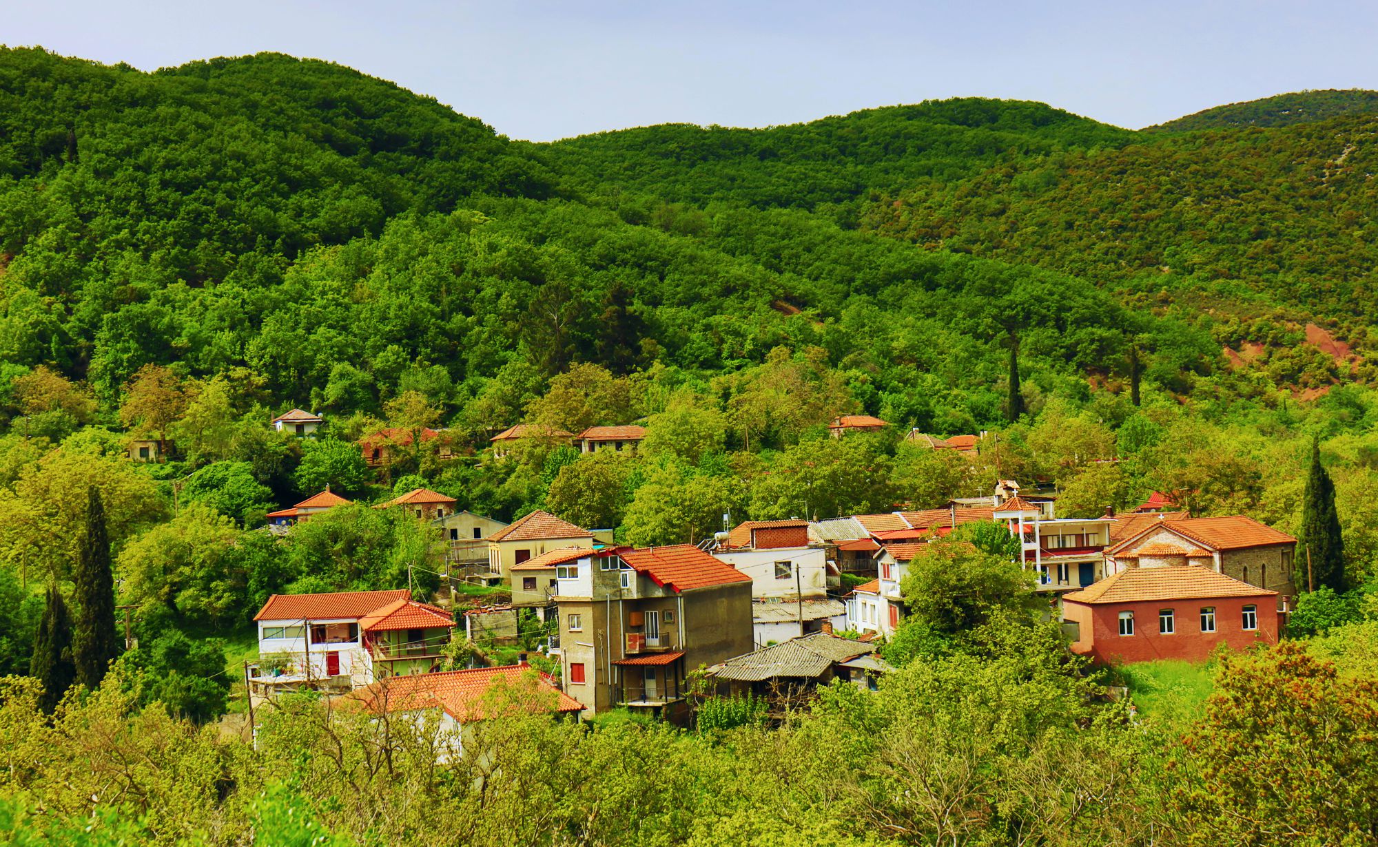 Η Λυκόσουρα