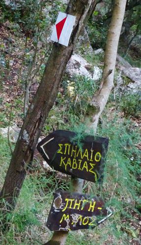Καρύταινα