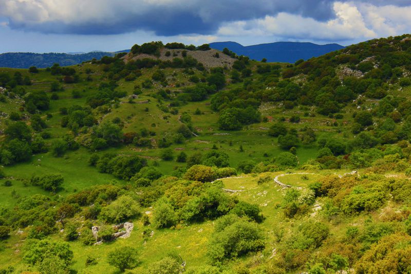 Αρκαδικά Μονοπάτια topoguide