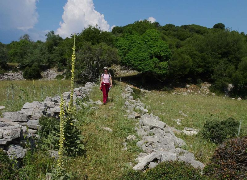 Αρκαδικά Μονοπάτια topoguide