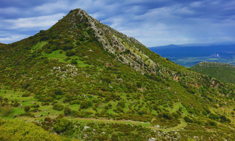 Αρκαδικά Μονοπάτια topoguide