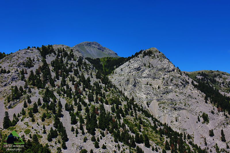 Δίρφυς topoguide