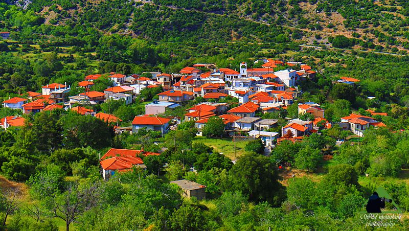 Κεντρική Εύβοια/Δίρφυς topoguide