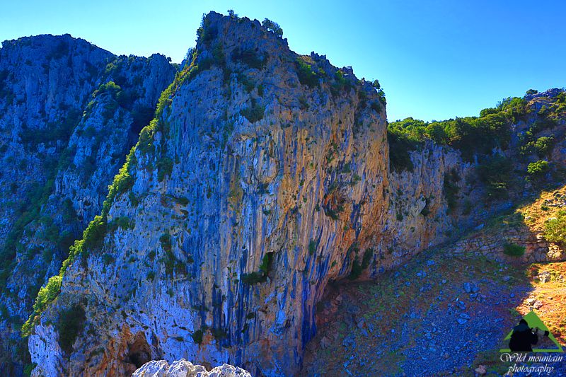 Κεντρική Εύβοια/Δίρφυς topoguide