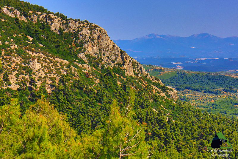 Κεντρική Εύβοια/Δίρφυς topoguide