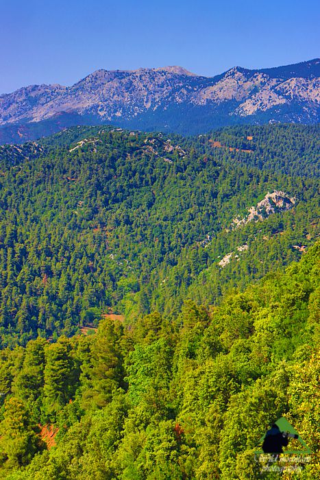 Κεντρική Εύβοια/Δίρφυς topoguide