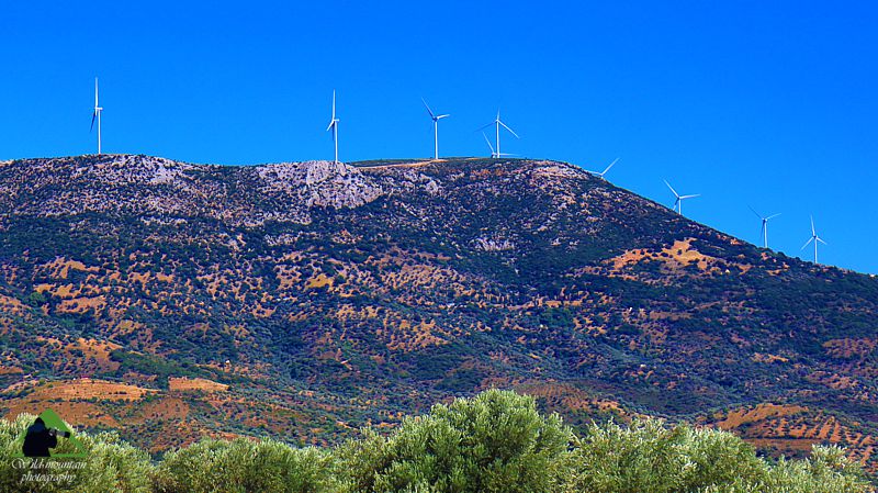 Κεντρική Εύβοια/Δίρφυς topoguide