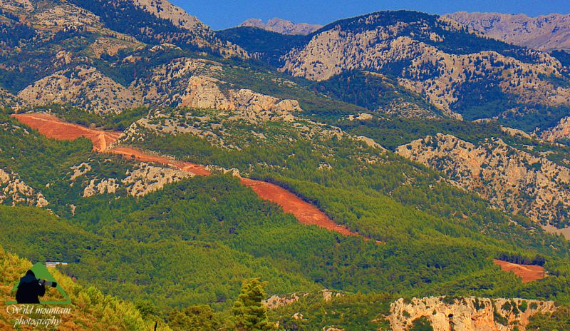 Κεντρική Εύβοια/Δίρφυς topoguide