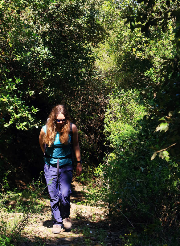 Long Pelion Trail: Στο παλιό καλντερίμι κοντά στην Αργαλαστή