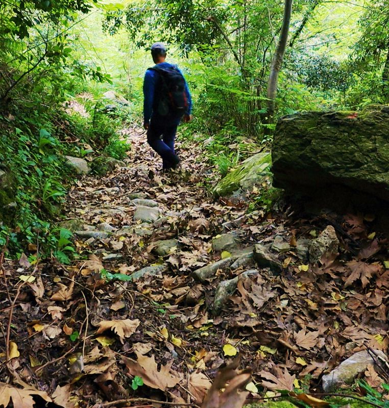 North Pelion topoguide: On the Veneto-Pouri trail