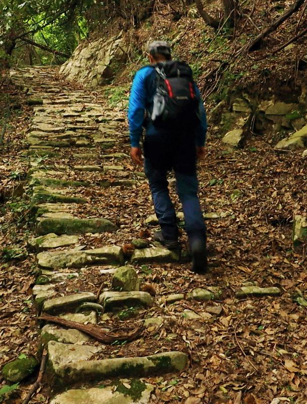 North Pelion topoguide: Along the cobbled path from Palia (Old) Mitzela to Pouri