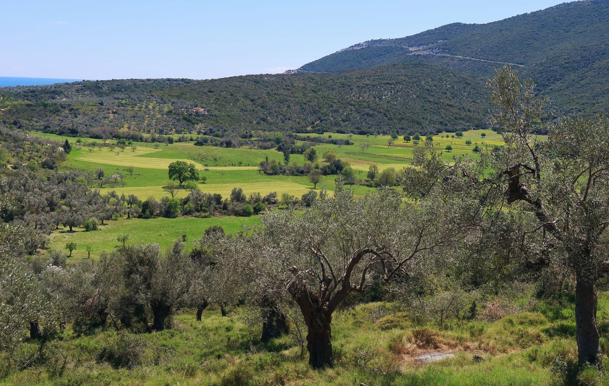 Νότιο Πήλιο topoguide