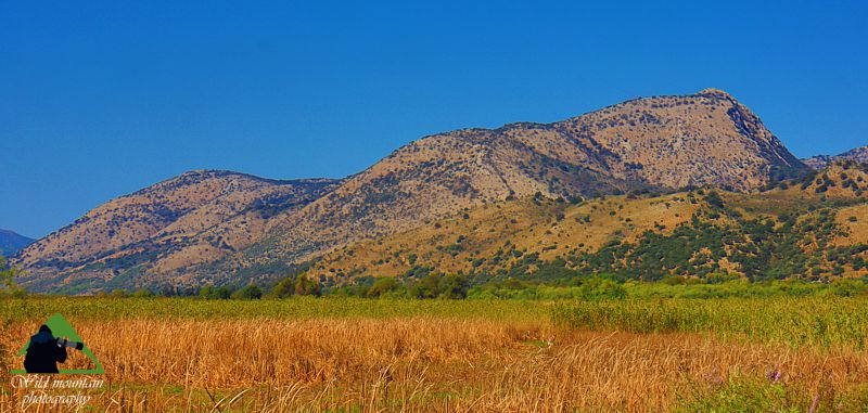 Εθνικό Πάρκο Υγροτόπων Αμβρακικού