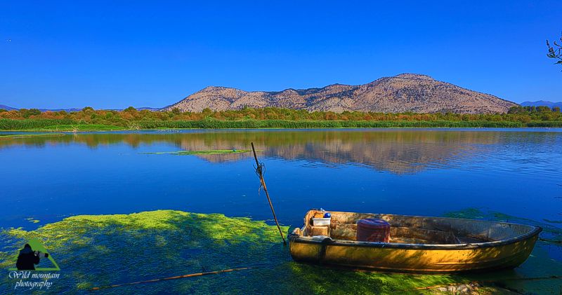 Εθνικό Πάρκο Υγροτόπων Αμβρακικού