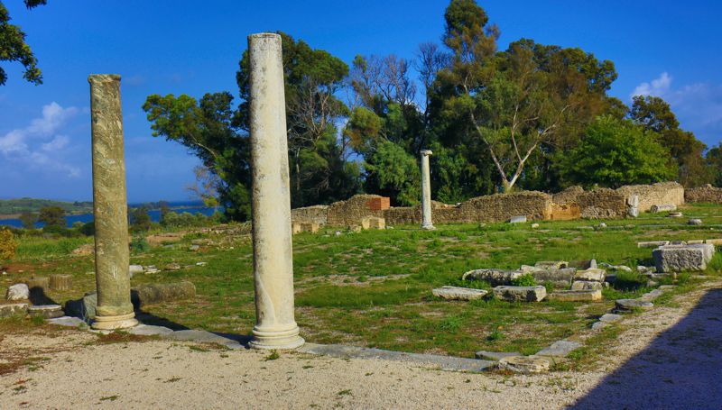 Εθνικό Πάρκο Υγροτόπων Αμβρακικού