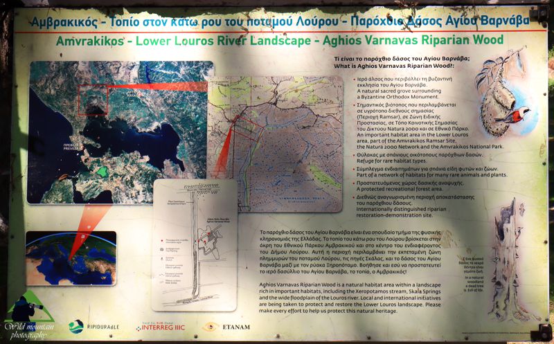 Εθνικό Πάρκο Υγροτόπων Αμβρακικού