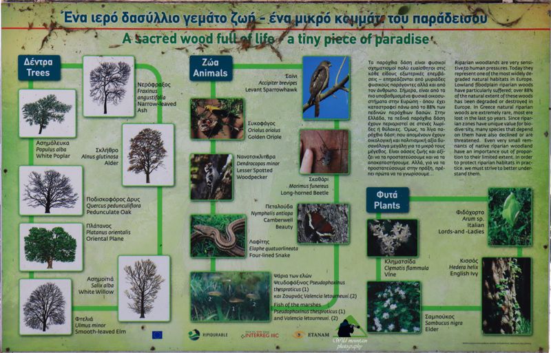 Εθνικό Πάρκο Υγροτόπων Αμβρακικού