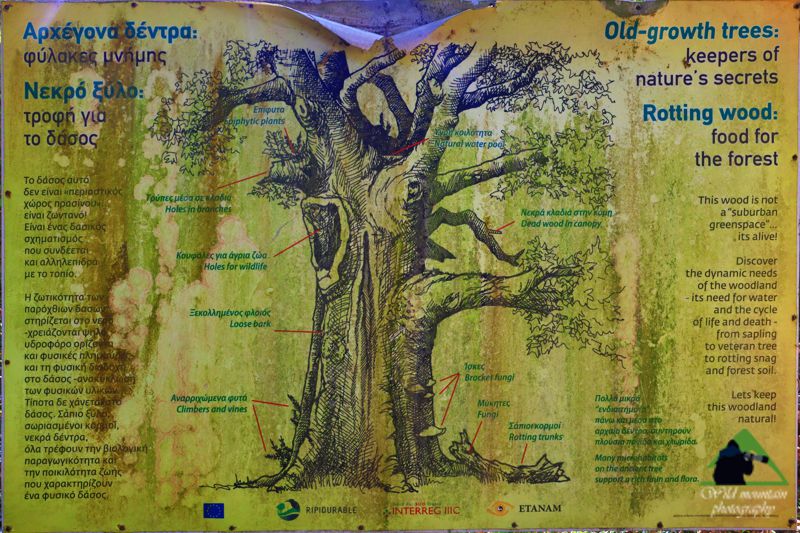 Εθνικό Πάρκο Υγροτόπων Αμβρακικού