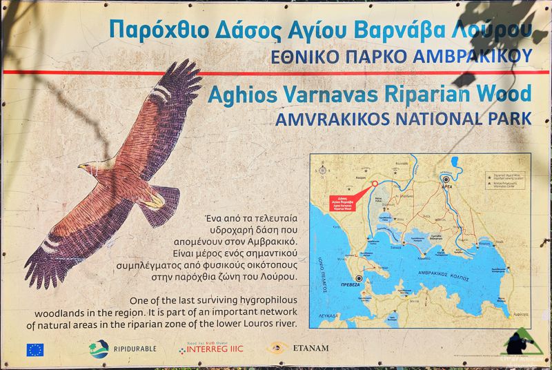 Εθνικό Πάρκο Υγροτόπων Αμβρακικού