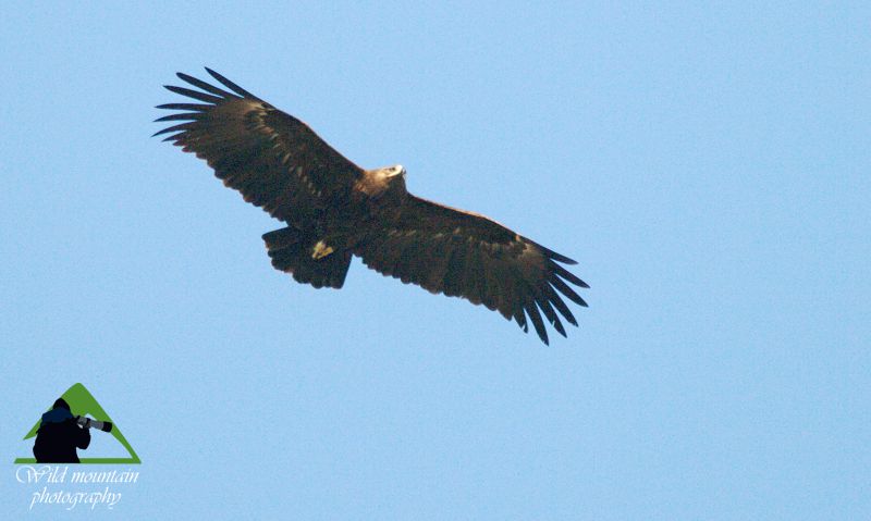 Εθνικό Πάρκο Υγροτόπων Αμβρακικού