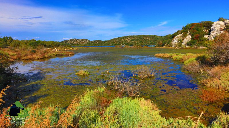 Εθνικό Πάρκο Υγροτόπων Αμβρακικού