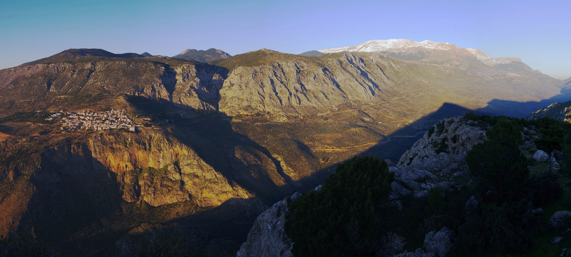 Εθνικός Δρυμός Παρνασσού: Η χαράδρα του Πλειστού, από τους Δελφούς μέχρι το Ζεμενό κρύβει έναν απέραντο ελαιώνα