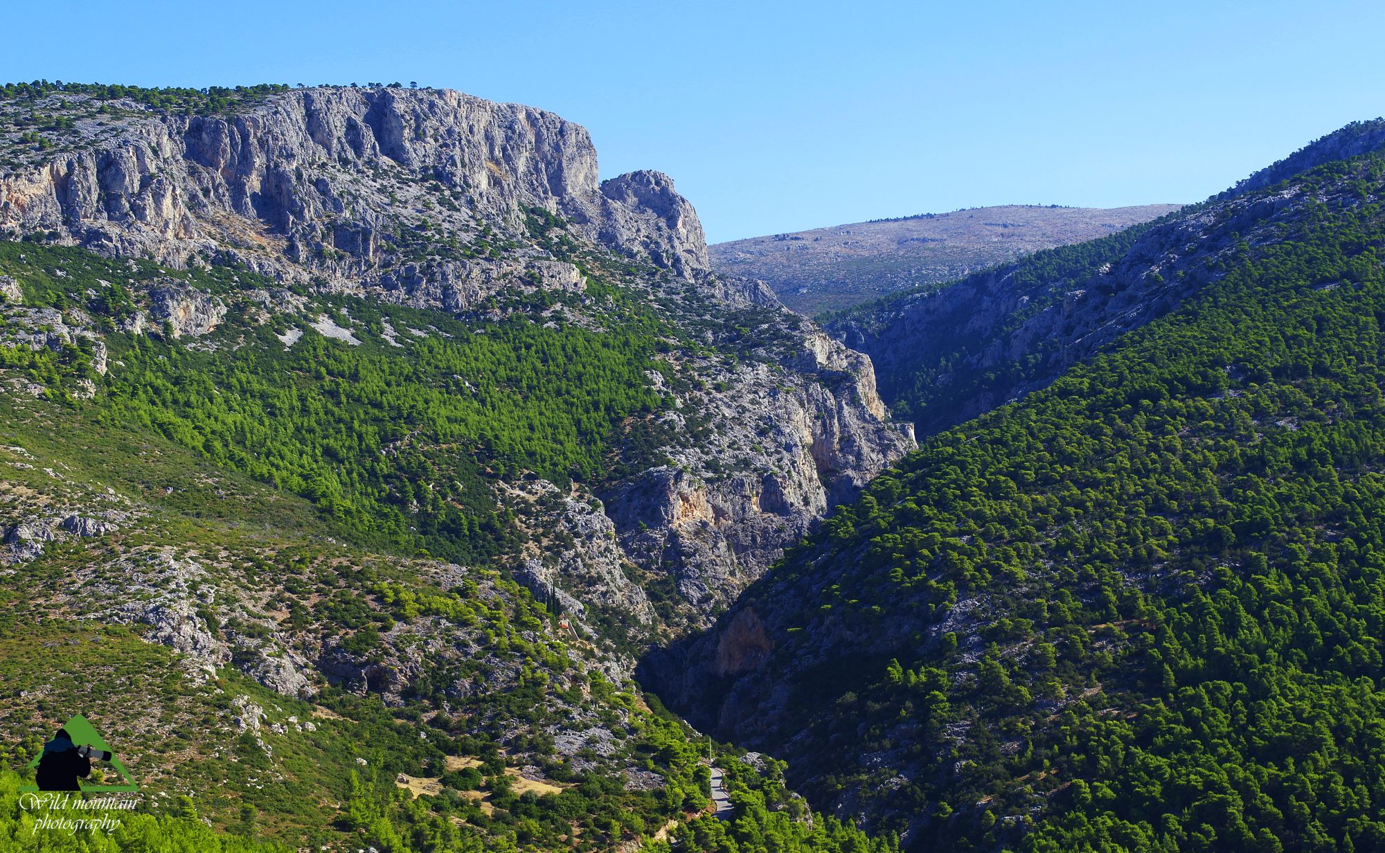 Εθνικός Δρυμός Πάρνηθας: Η χαράδρα της Γιαννούλας είναι το μεγαλύτερο από τα φαράγγια του Εθνικού Δρυμού Πάρνηθας